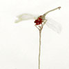 Red Dragonfly